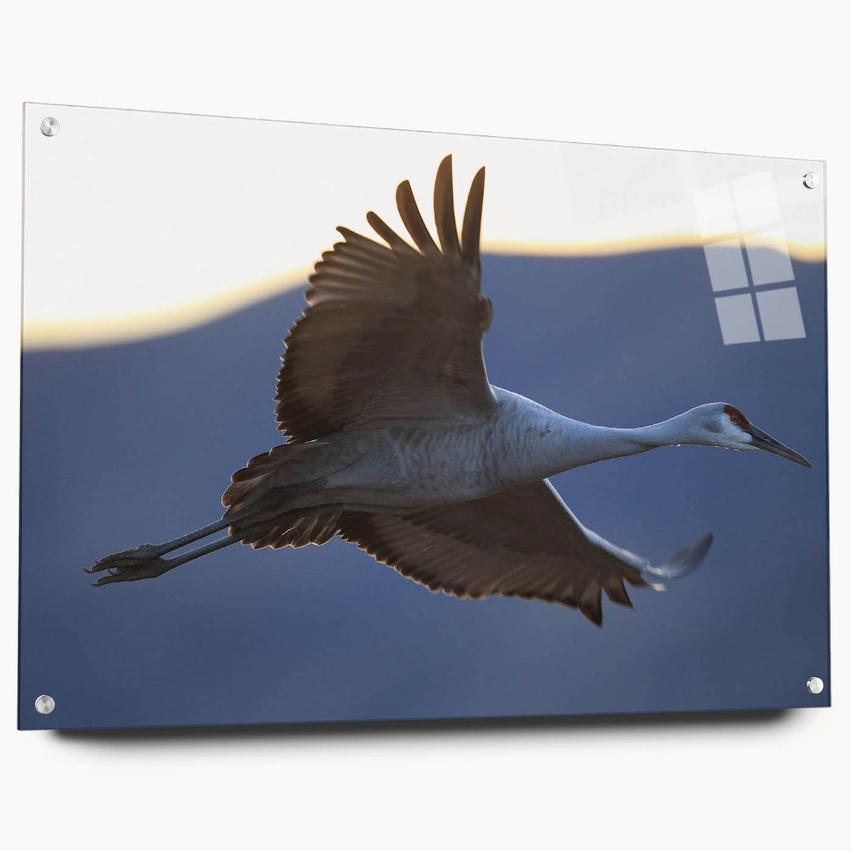Elegant wall art showcasing a side view of a crane design, crafted from acrylic glass with visible pins for mounting. Ideal for modern decor, this piece adds a touch of sophistication to any space.