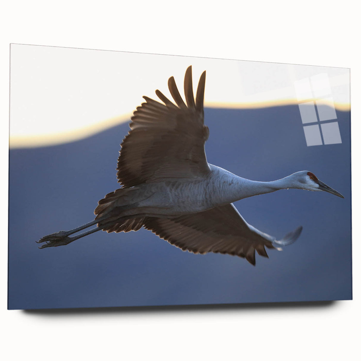 Side view of a contemporary wall art piece featuring a crane design, printed on acrylic glass, showcasing vibrant colors and intricate details, ideal for modern home decor.