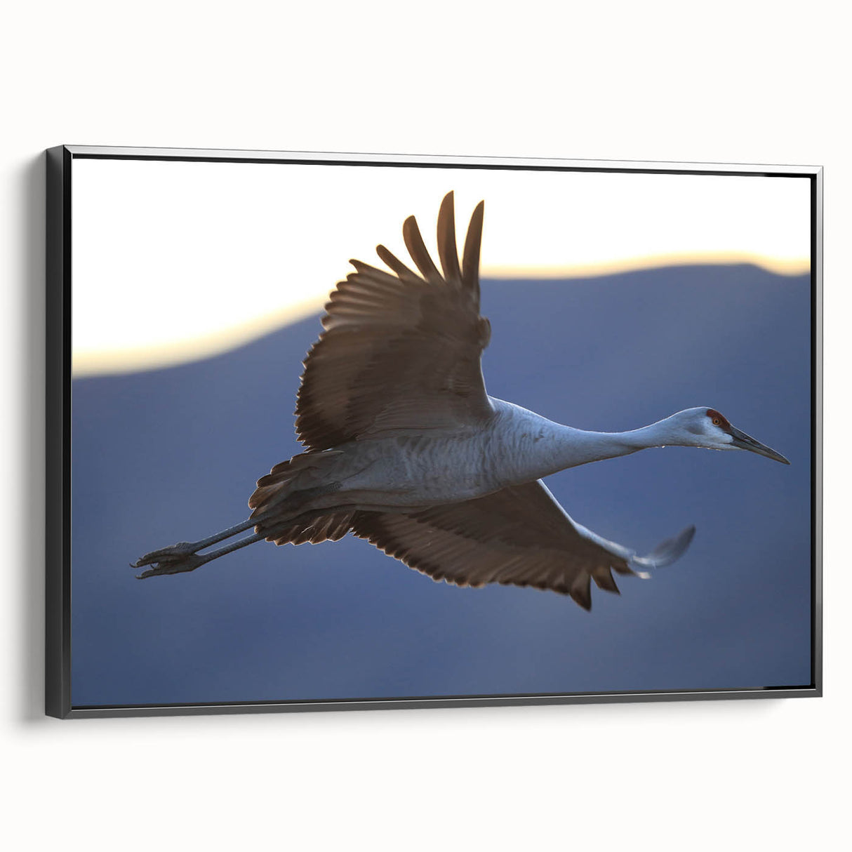 Framed canvas wall art featuring an elegant crane design in black, showcasing a side view that highlights its intricate details and sleek finish, perfect for modern home decor.