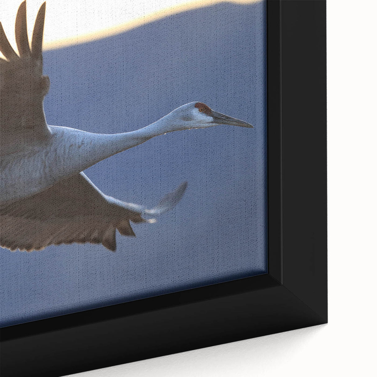 Close-up of a framed canvas wall art featuring a detailed crane design, showcasing intricate patterns and vibrant colors, ideal for home decor.