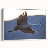 Framed wall art showcasing a serene crane design on a white canvas, displayed from a side view, perfect for contemporary home decor.