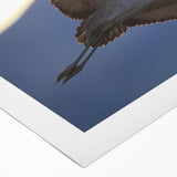 Rolled canvas artwork showcasing an elegant crane design, featuring intricate details and soft colors, ideal for enhancing modern home decor or office settings.