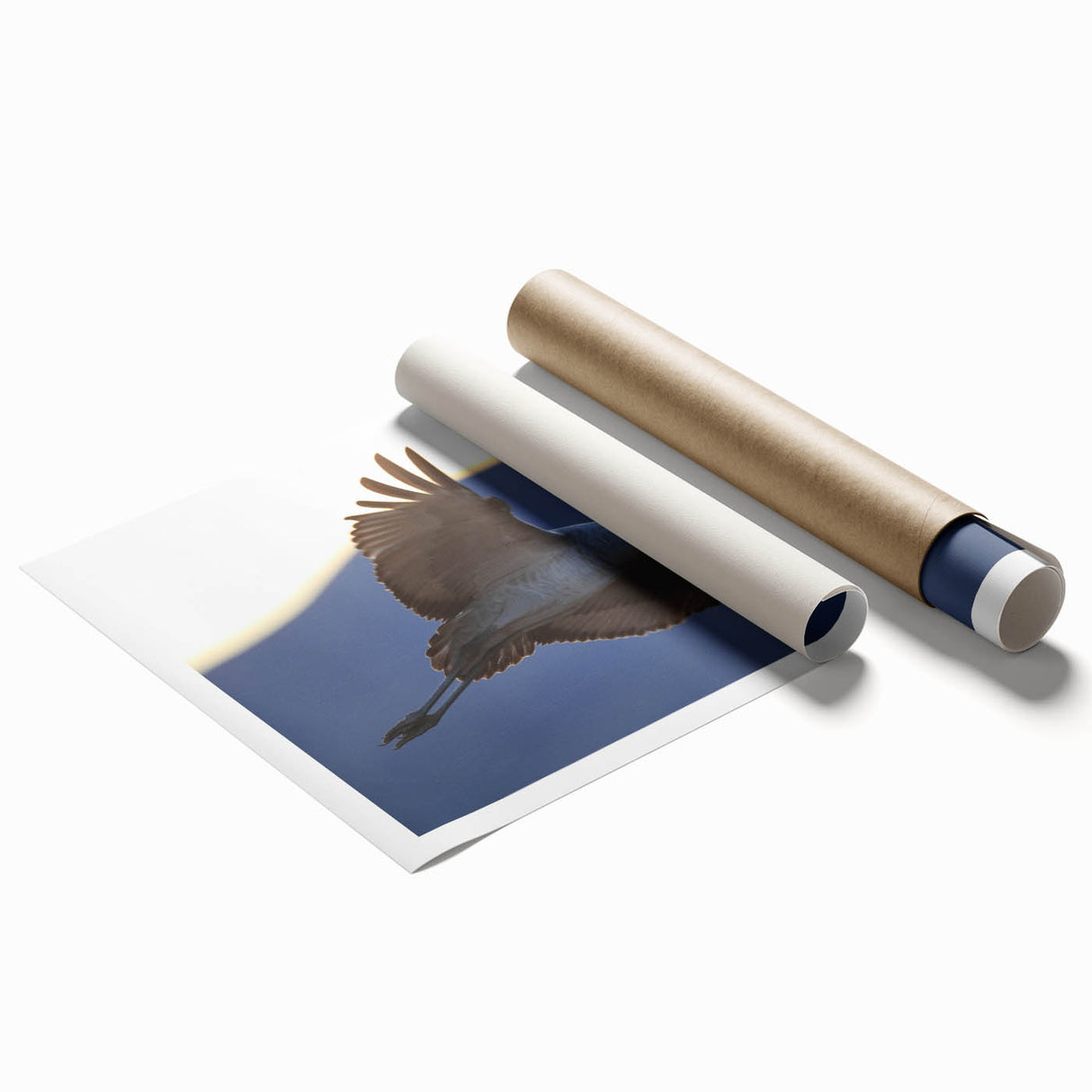 Elegant rolled print showcasing a crane design in soft pastel colors, ideal for modern home decor. Perfect for adding a touch of nature-inspired art to any room.