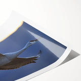 Elegant rolled print showcasing a graceful crane design, ideal for home decor. This vibrant wall art features intricate details and rich colors, perfect for adding a touch of nature-inspired beauty to any space.