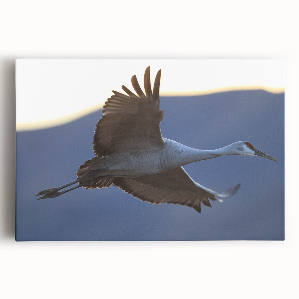 Elegant stretched canvas wall art featuring a serene crane design against a soft gray background, perfect for adding a touch of nature-inspired decor to any room.