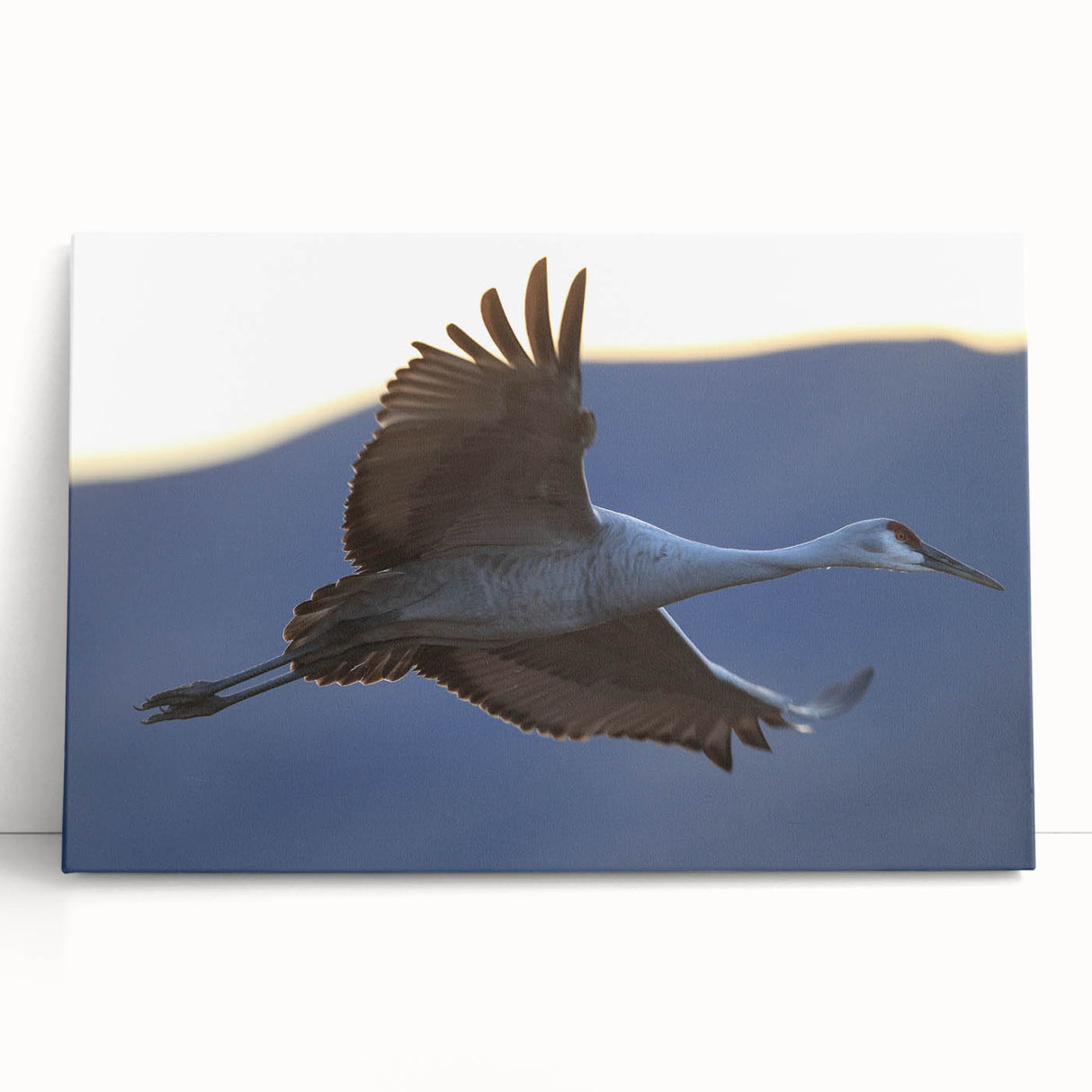 Stretched canvas wall art featuring an elegant crane design, showcasing vibrant colors and intricate details, perfect for enhancing modern home decor.