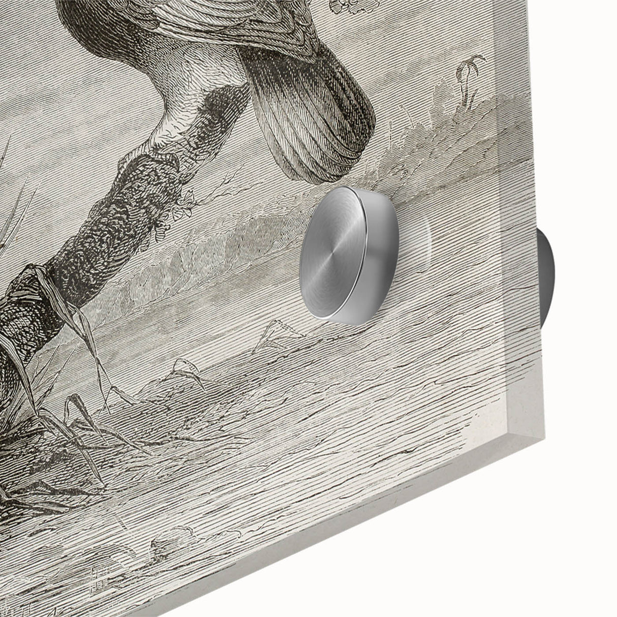 Close-up of a vibrant wall art piece showcasing a delicate crane design, rendered in acrylic glass, featuring intricate details and elegant colors that enhance any decor setting. Perfect for nature and bird art enthusiasts, this collection adds sophistication to your space.