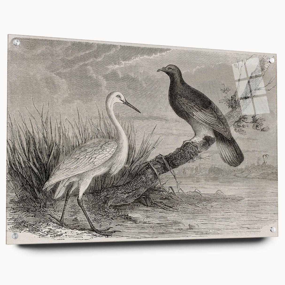 Elegant wall art featuring a crane design, showcased in an acrylic glass frame with decorative pins, highlighting intricate details and vibrant colors, perfect for modern decor.