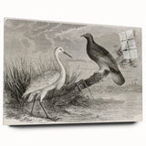 Elegant wall art featuring a side view of a crane design, crafted from acrylic glass, showcasing intricate details and vibrant colors. This piece adds sophistication to any modern decor.
