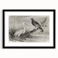 Framed wall art featuring an elegant black crane design, with a mat and sleek frame, perfect for modern home decor. The artwork adds a touch of sophistication to any room.