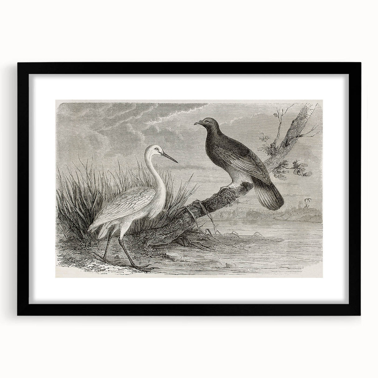 Framed wall art featuring an elegant black crane design, with a mat and sleek frame, perfect for modern home decor. The artwork adds a touch of sophistication to any room.