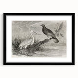 Framed wall art featuring an elegant black crane design, with a mat and sleek frame, perfect for modern home decor. The artwork adds a touch of sophistication to any room.