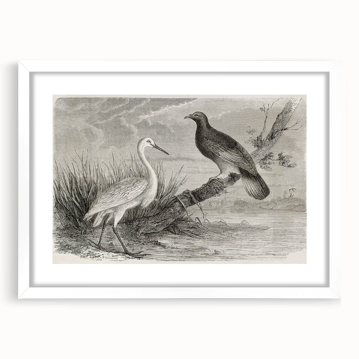 Elegant wall art featuring a crane design in a white frame with a mat, perfect for modern decor. Ideal for nature lovers and contemporary interiors.