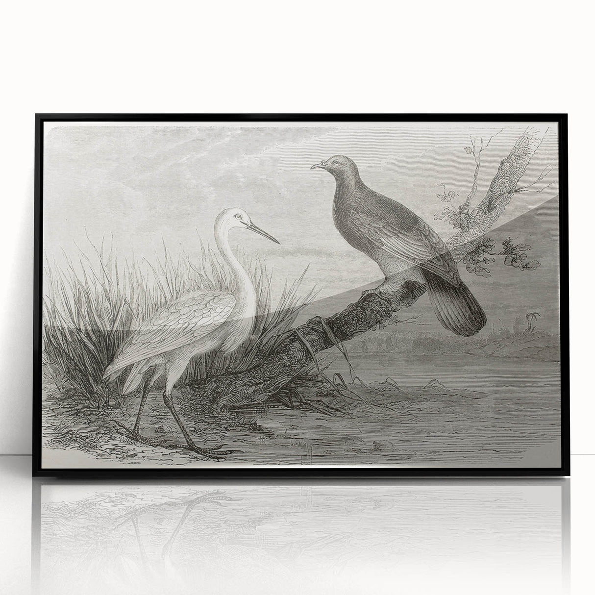 Framed wall art featuring an elegant black crane design, showcasing intricate details and a modern aesthetic, perfect for enhancing home decor.