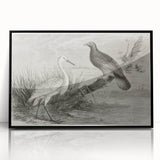Framed wall art featuring an elegant black crane design, showcasing intricate details and a modern aesthetic, perfect for enhancing home decor.