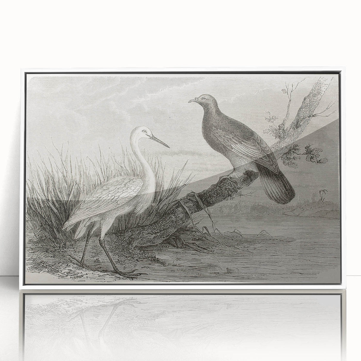Framed acrylic wall art showcasing a stunning crane design, featuring a white frame and sleek front view, ideal for modern home decor and nature enthusiasts.