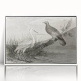 Framed acrylic wall art showcasing a stunning crane design, featuring a white frame and sleek front view, ideal for modern home decor and nature enthusiasts.