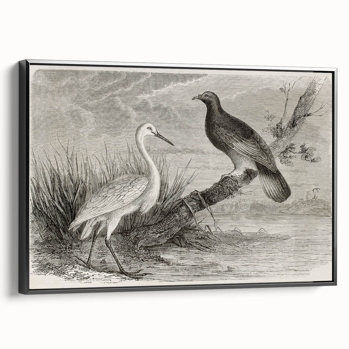 Framed canvas wall art showcasing an elegant crane design in black tones, set against a minimalist background, perfect for modern home decor.