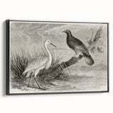 Framed canvas wall art showcasing an elegant crane design in black tones, set against a minimalist background, perfect for modern home decor.