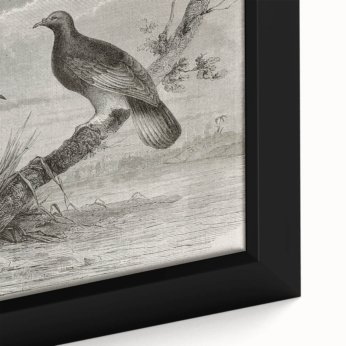 Close-up of a framed canvas wall art featuring a graceful crane design, showcasing vibrant colors and intricate details, perfect for modern home decor.