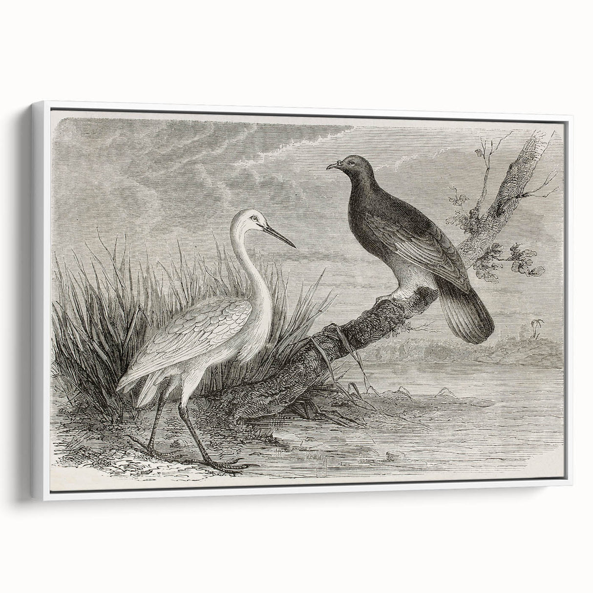 Framed wall art featuring a serene crane design on a white canvas, showcasing intricate details and elegant colors, ideal for modern home décor.
