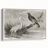 Framed wall art featuring a serene crane design on a white canvas, showcasing intricate details and elegant colors, ideal for modern home décor.