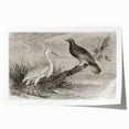 Elegant rolled print of crane wall art featuring intricate designs in soft pastel colors, ideal for home decor. Perfect gift for bird lovers and art enthusiasts.