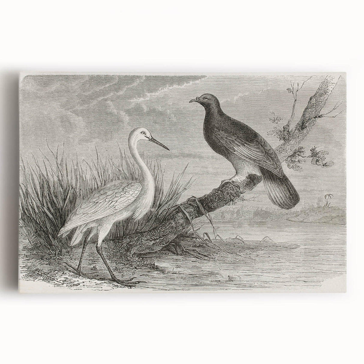 Elegant wall art featuring a vibrant crane design on a stretched canvas, showcasing intricate details and rich colors, perfect for modern home decor.