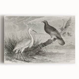 Elegant wall art featuring a vibrant crane design on a stretched canvas, showcasing intricate details and rich colors, perfect for modern home decor.