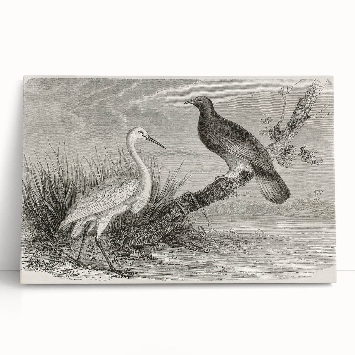 Elegant stretched canvas wall art featuring a serene crane design in soft pastel colors, perfect for enhancing modern home decor. Ideal for living rooms and art enthusiasts.