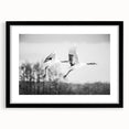 Framed wall art featuring a striking black crane design with a mat, perfect for modern decor. Elegant front view showcasing intricate details and stylish aesthetics.