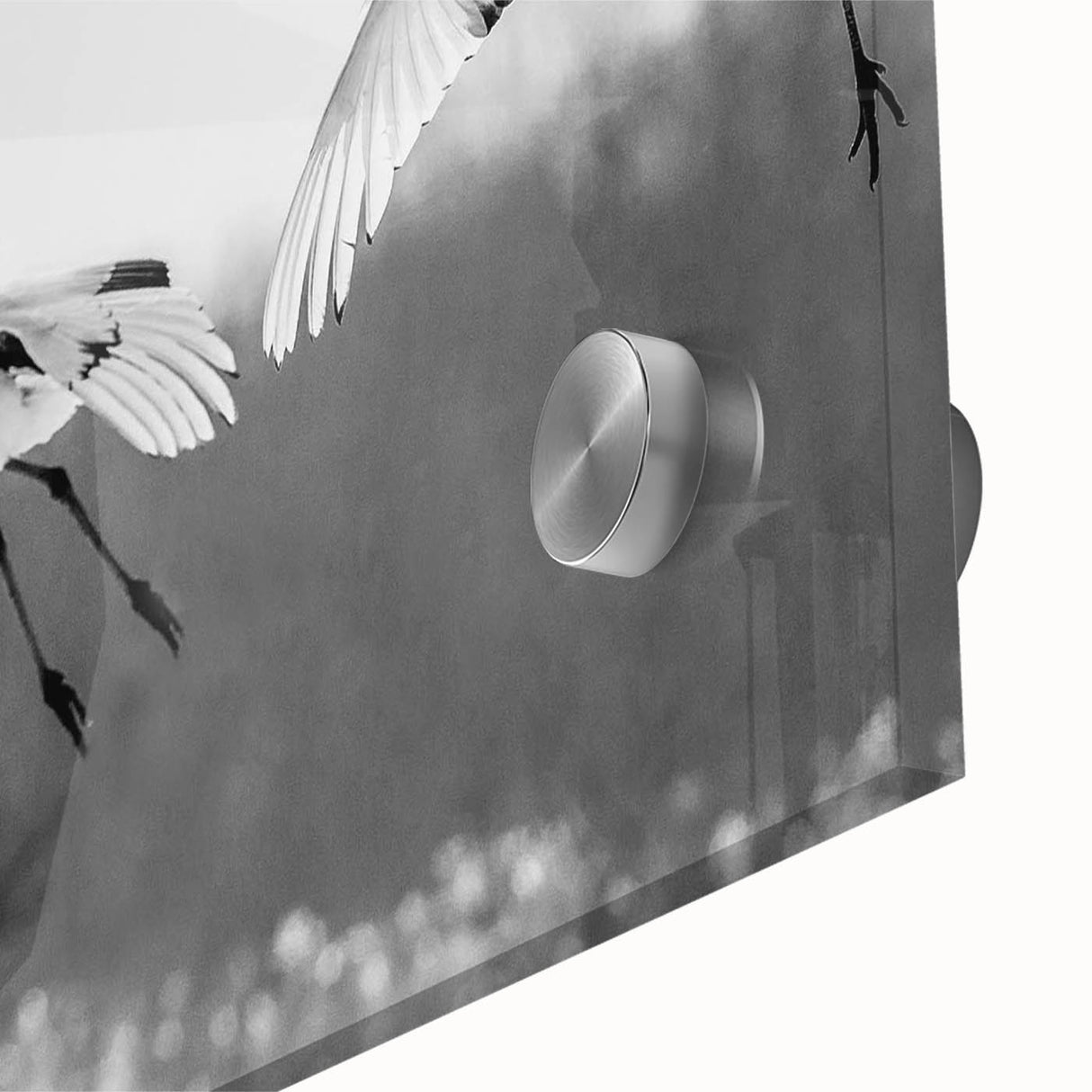 Close-up of a vibrant wall art piece featuring a crane design on acrylic glass, showcasing intricate details and vivid colors, perfect for modern home decor.