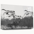 Elegant wall art collection showcasing a side view of a crane design printed on acrylic glass, featuring vibrant colors and sleek pins for easy hanging. Perfect for modern home decor, this piece adds a touch of sophistication and nature-inspired beauty to any space.