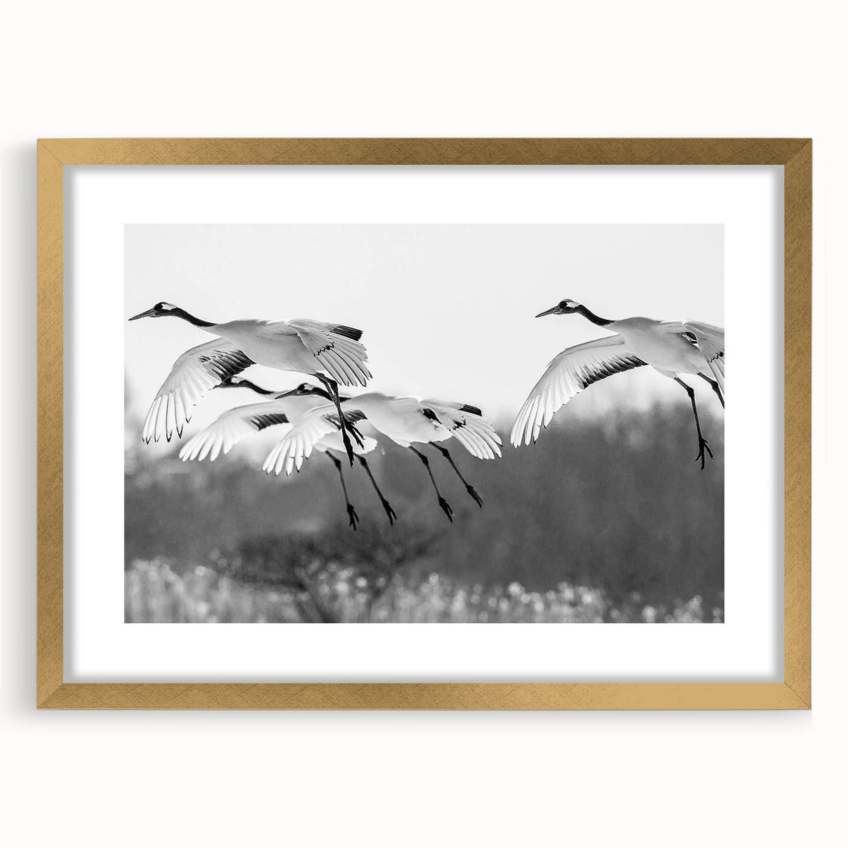 Elegant wall art featuring a crane design in a gold frame with a mat, showcasing intricate details and a sophisticated aesthetic, perfect for home decor.