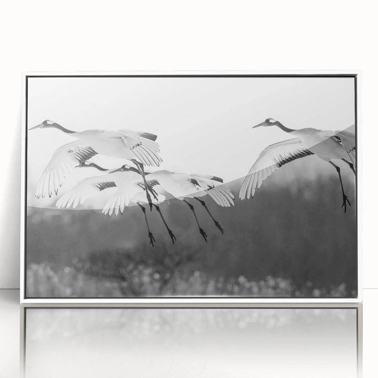 Framed wall art featuring a serene crane design in a minimalist style, showcased in a sleek white frame, perfect for modern decor and nature enthusiasts.