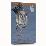 Elegant wall art featuring a crane design made of acrylic glass, displayed in a side view without pins. Ideal for modern home decor, showcasing vibrant colors and intricate details.