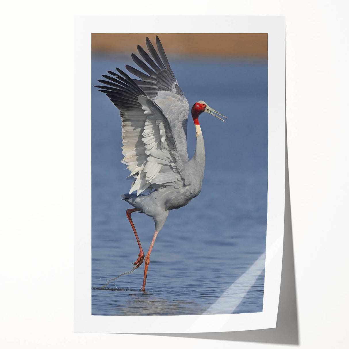 Elegant wall art featuring a serene crane design in soft pastel colors, printed on high-quality material, perfect for home decor or gifting. This rolled print adds a touch of nature-inspired beauty to any room, making it an ideal choice for art enthusiasts and interior designers alike.