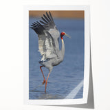 Elegant wall art featuring a serene crane design in soft pastel colors, printed on high-quality material, perfect for home decor or gifting. This rolled print adds a touch of nature-inspired beauty to any room, making it an ideal choice for art enthusiasts and interior designers alike.