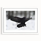 Framed wall art featuring a striking design of a crow and raven, presented in a white mat with a sleek black frame, ideal for enhancing modern decor.