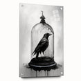 Close-up of a side view of a modern acrylic glass wall art collection featuring intricate crow and raven designs, elegantly displayed with decorative pins. This artwork adds a striking touch to any interior decor, blending nature-inspired themes with contemporary aesthetics.