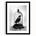 Black-framed wall art featuring a detailed design of a crow and raven, showcasing intricate illustrations against a minimalistic backdrop, perfect for modern decor.