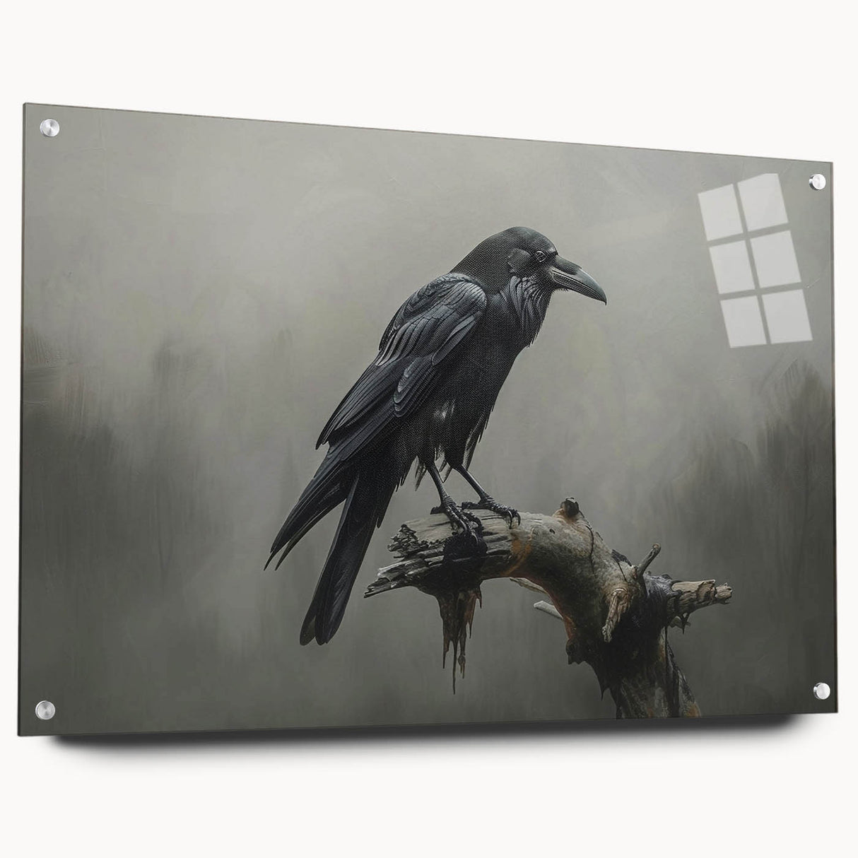 Acrylic glass wall art displaying a detailed design of a crow and raven collection, featuring vibrant colors and mounted with pins, perfect for modern decor.