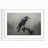 Detailed wall art featuring a crow and raven design, framed in white with a mat, showcasing intricate black and gray illustrations perfect for modern decor.