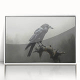Framed wall art showcasing a detailed design of a crow and raven, presented in a sleek white frame with acrylic front, perfect for modern home decor.