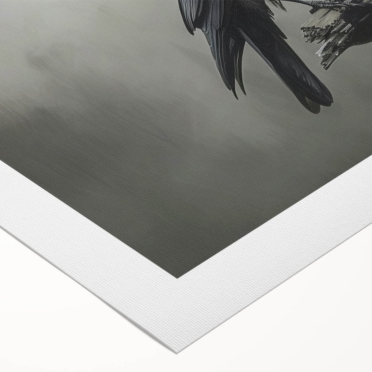 Rolled canvas art depicting a detailed design of crows and ravens against a neutral background, ideal for bird enthusiasts and modern home decor.