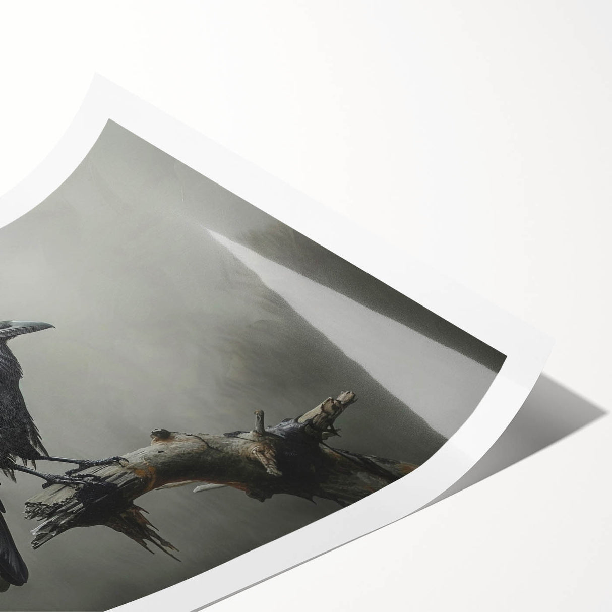 Artistic rolled print showcasing a detailed design of a crow and raven, featuring intricate feather patterns in shades of black and gray, ideal for nature-themed decor.