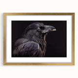 Framed wall art collection showcasing intricate crow and raven designs in a gold frame, featuring a white mat for an elegant presentation, perfect for bird lovers.