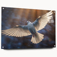 Acrylic wall art display featuring a side view of a dove design collection, elegantly mounted with pins. The vibrant colors and intricate details enhance any space, perfect for bird lovers or modern decor enthusiasts.