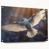 Acrylic wall art display featuring a side view of a dove design collection, elegantly mounted with pins. The vibrant colors and intricate details enhance any space, perfect for bird lovers or modern decor enthusiasts.