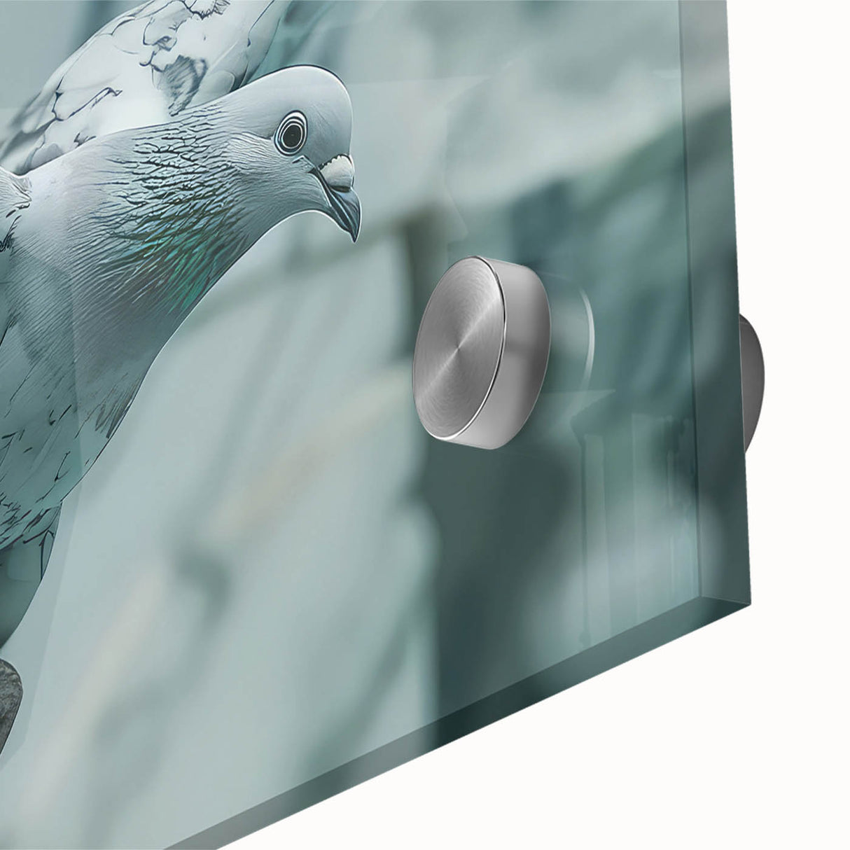 Close-up of a vibrant acrylic glass wall art piece showcasing a graceful dove design, perfect for adding a serene atmosphere to any modern home decor.
